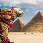 أهم 4 نماذج لموضوع عن السياحة في مصر