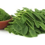 هل جربت تناول نبات المورينجا المفيدة؟ تعرف على أكثر 3 أضرار صادمة لها