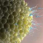 5 حقائق عن حقن فوستيمون