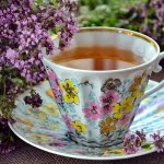 أكثر من 7 فوائد لا تعرفها عن البردقوش