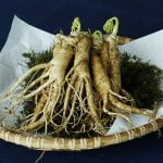 ماذا تعرف عن فوائد الجنسنج مع العسل؟ إليك 11 فائدة منها