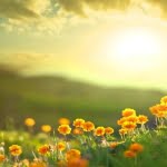 28 من أهم أدعية وأذكاء الصباح