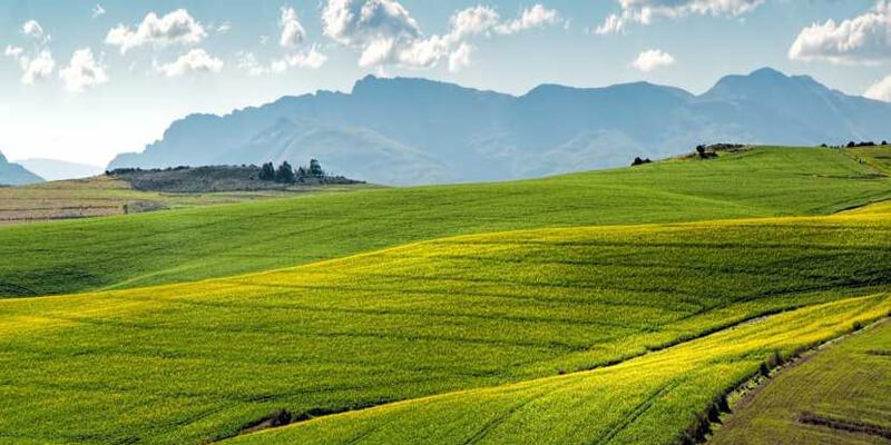 3 أفكار مهمة لكتابة موضوع تعبير عن الوطن