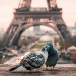 38 من مختارات من أجمل كلمات الحب الرومانسي القصير