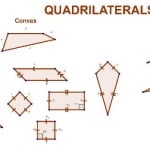 6 من أهم خصائص الأشكال الرباعية .. أشكال هامة في عالم الهندسة ومجالاتها