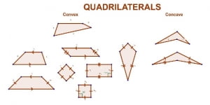 6 من أهم خصائص الأشكال الرباعية .. أشكال هامة في عالم الهندسة ومجالاتها