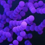 6 من أهم المعلومات عن البكتيريا