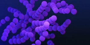 6 من أهم المعلومات عن البكتيريا