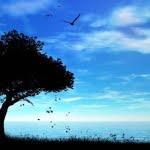 مفهوم السلام وشدة الحاجة اليه في الحياة
