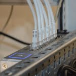 2 من أهم أنواع شبكات الإنترنت