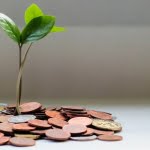 2 من الأفكار المهمة عن الأمانة