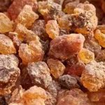 استعماله يقي من أمراض خطيرة .. تعرف على 8 من أهم فوائد نبات المرة