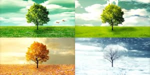 الفصول الأربعة ترتيبها وميزات كل فصل فيها