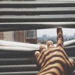 كيف تقضي وقتك أثناء الكورونا؟ 7 أمور ضرورية حتى لا تشعر بالملل