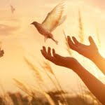 أهمية السلم والسلام للفرد والمجتمع .. 9 جوانب لا غنى عنها لتنفيذ هذه القيمة