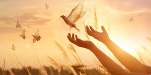 أهمية السلم والسلام للفرد والمجتمع .. 9 جوانب لا غنى عنها لتنفيذ هذه القيمة