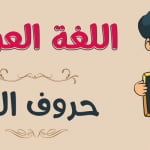 ما هي حروف الجر؟ 4 جوانب حول هذه القاعدة النحوية الهامة في اللغة العربية