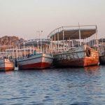 2 من المعلومات المهمة عن نهر النيل وأهميته