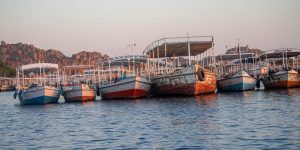 2 من المعلومات المهمة عن نهر النيل وأهميته