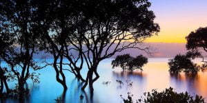 38 من أجمل خواطر وكلمات صباحية رومانسية