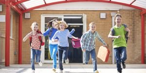 أهمية المدرسة في حياة المجتمع .. 3 من الجوانب حول المؤسسة التعليمية الأهم على الإطلاق