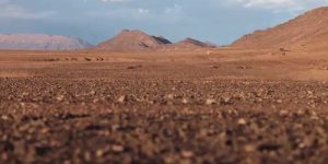 10 من أجمل خواطر وكلمات قصيرة عن الوطن