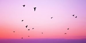 3 عناصر مهمة في بحث عن السلام