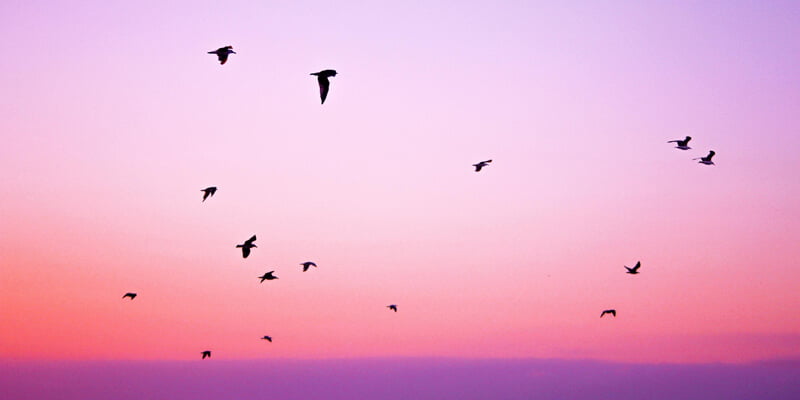 3 عناصر مهمة في بحث عن السلام