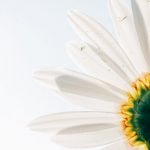 4 أفكار عن السلم والسلام