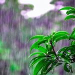41 من أجمل الكلمات عن المطر