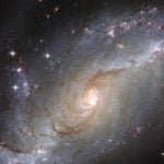 6 معلومات توضح ترتيب الأبراج حسب الأشهر