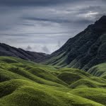 7 أشكال للانتماء للوطن .. قيمة عزيزة يجب أن نحافظ عليها