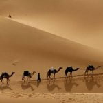 8 من مظاهر الحياة العقلية في العصر الجاهلي