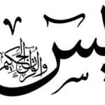 تعرف على فضل سورة يــــس 