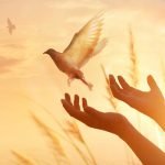 3 من صور وأشكال التسامح والعفو .. خلق جليل ازرعه في نفسك