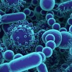 البكتريا وحياة الشعوب على مر العصور.. كيف يمكننا مكافحة العدوى؟