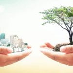 ما هو مفهوم التنمية الاقتصادية ؟ 6 أهداف للتنمية حول العالم