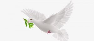 تعريف السلم .. 5 جوانب حول السلام وتطبيقه في العالم