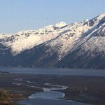 حكم وأمثال عن حب الوطن .. 26 عبارة وخاطرة عن الوطن وقيمته في حياتنا