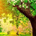 الحِلم خُلقٌ كريمٌ.. تعرف على فضائله.. وكيف يُمكن اكتسابه؟