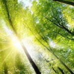 أجمل 35 حكمة.. حكم ومواعظ قصيرة قَيّمة ستفيدك بحياتك