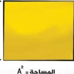 مسائل بالحل.. مساحة المربع ومحيطه.. 21 مسألة رياضية