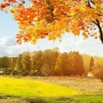 أمثال وحكم شعبية.. 120 حكمة قيمة وراقية