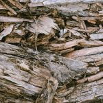 7 طرق تساعد على التخلص من سوس الخشب