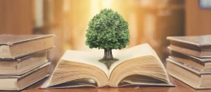 اقتباسات عربية جميلة .. 27 عبارة عربية عن الحياة والحكمة