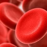 تحليل RBCs .. تعرف على أهم 5 معلومات طبية حوله