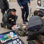 بحث عن الدفاع المدني .. تعرف على أهم 5 أعمال للدفاع المدني