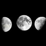 تعرف على الفرق بين السنة والعام