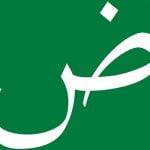 أبيات شعر عن اللغة العربية وأهميتها .. 4 قصائد عن لغتنا الجميلة