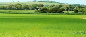 كلمة عن الوطن .. 24 عبارة عن حب الوطن وقيمته